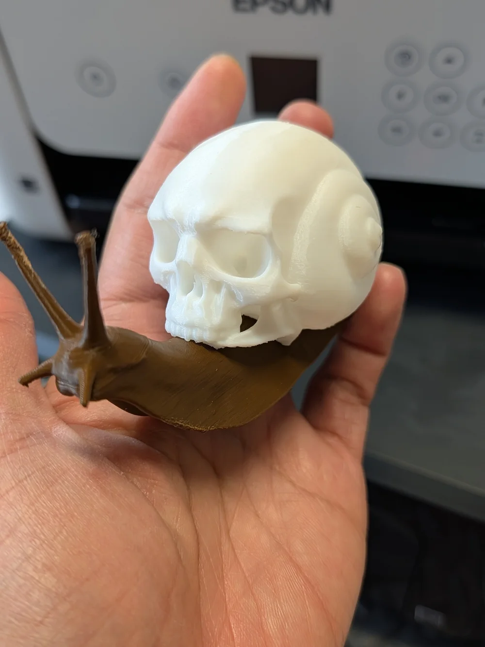 White Skull-on-Brown Snail Terrarium Accent - Reptile Décor